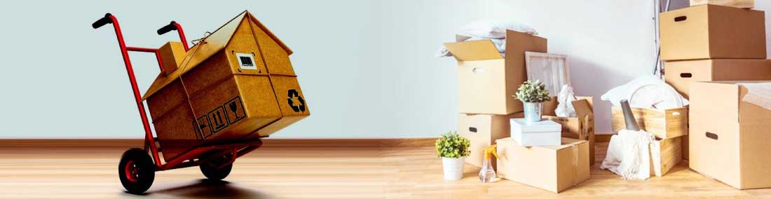 Packing And Moving Services